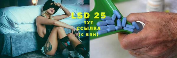 стаф Горняк