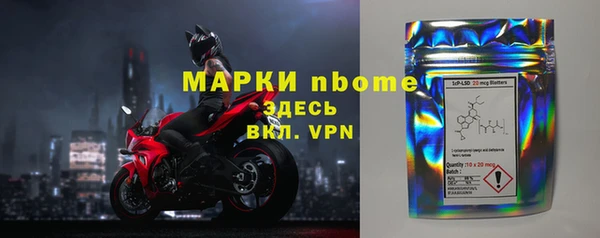 стаф Горняк