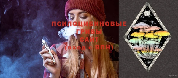 прущая мука Горно-Алтайск