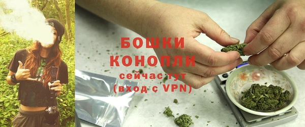 ешки Гусев