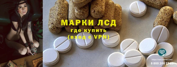 ешки Гусев