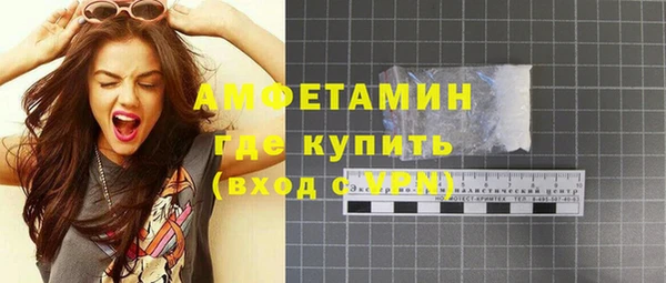 стаф Горняк